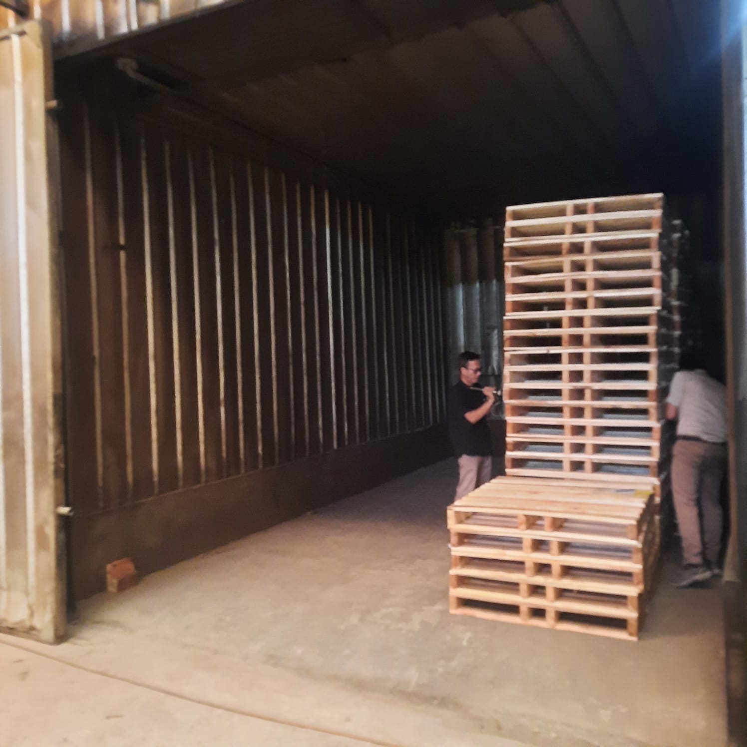 Dampak pemilihan kayu